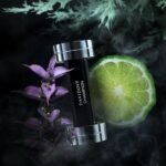 Davidoff Champion Eau de Toilette – Woody Men's Cologne - Image 3